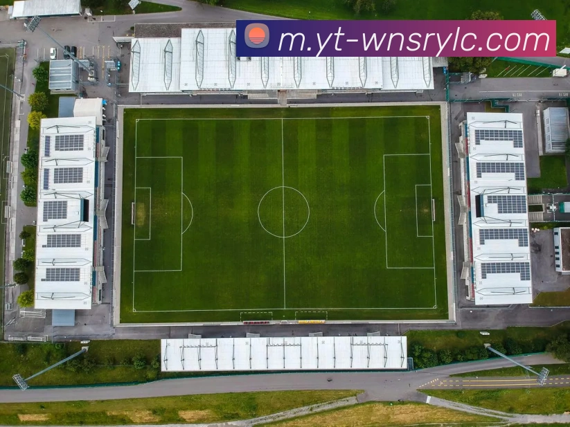 威尼斯人官网平台生态图