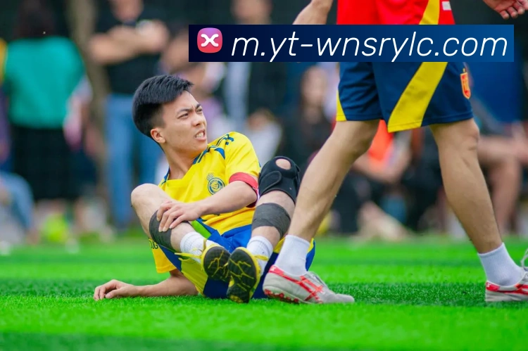 威尼斯人官网APP 封面图